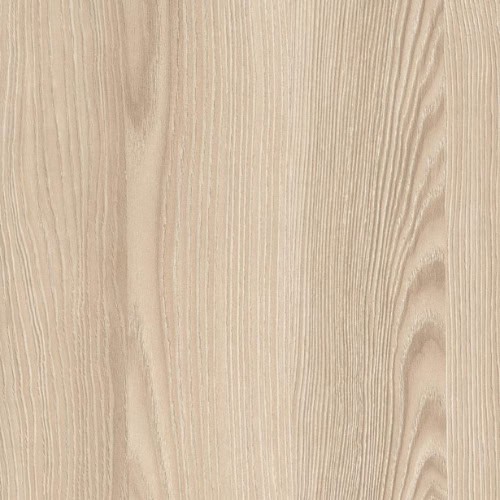 Navarra Ash