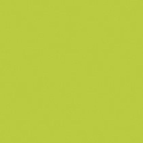 Pomme Verte