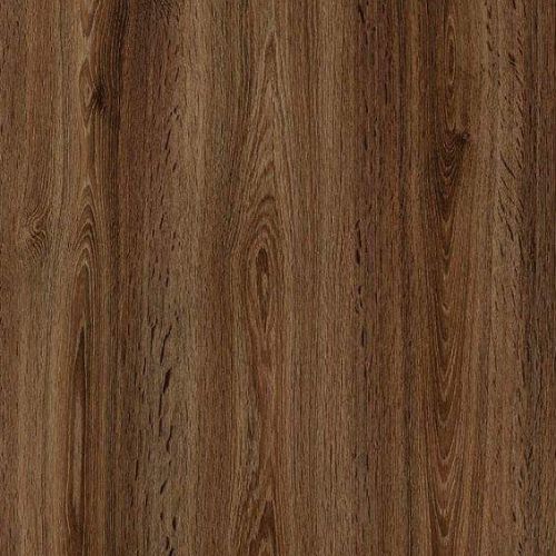 Walnut Sample Swatch